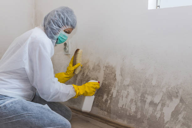 Best Biohazard Mold Removal  in Bloomsburg, PA