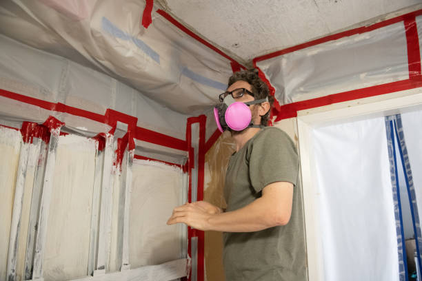 Best Black Mold Removal  in Bloomsburg, PA